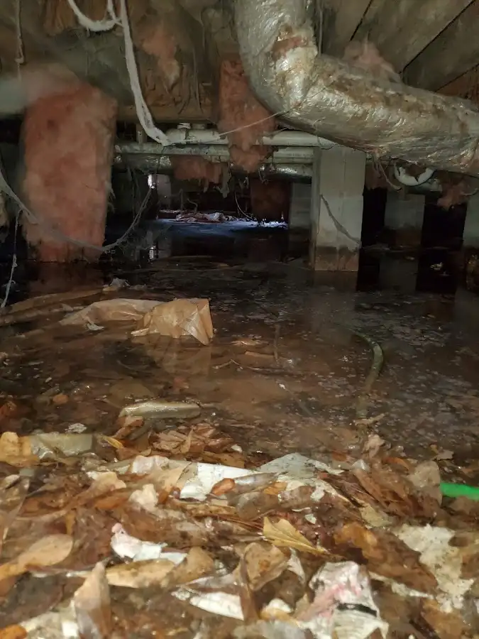 Crawl space flood assessment for Leak Detection & Repair in Sinton